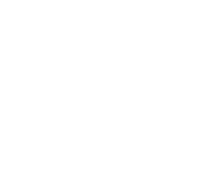 Logo for Rapid Policies